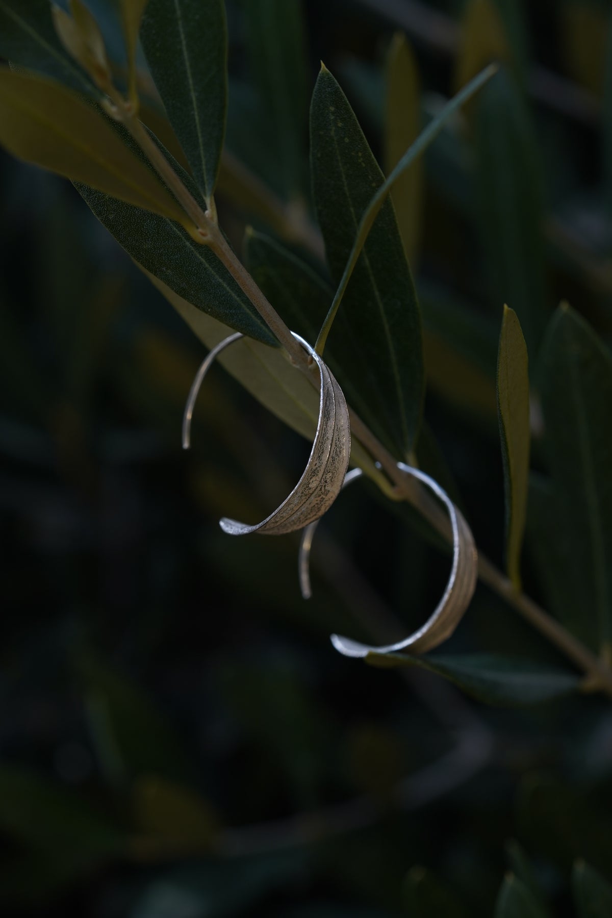 Leaf Hoop Earrings